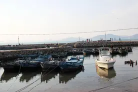 体验天然海岛生活—青岛竹岔岛游记图片