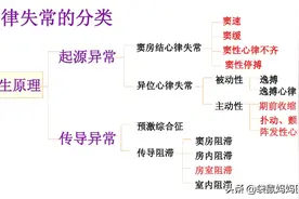 常见心律失常概述及治疗方法图片