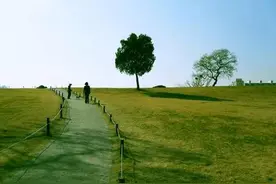 （小小说）愚爱之殇图片