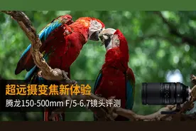 超远摄变焦新体验，腾龙150-500mm F/5-6.7镜头评测图片
