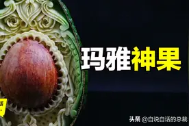 牛油果：30年前还是垃圾食品，为什么突然成了完美神果？图片