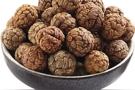 中药古今研究：草豆蔻图片