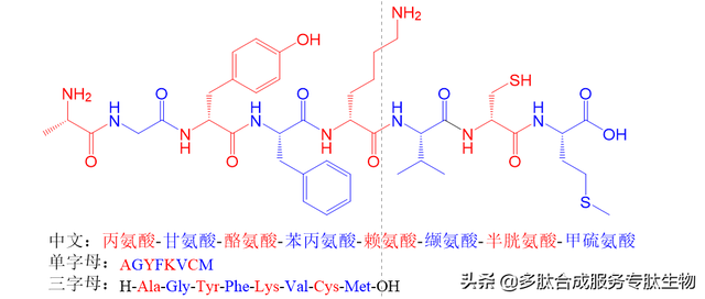 如何正确书写多肽