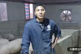 新手养猪户常犯的错，夏天给小猪洗澡就等于让小猪生病！视频封面
