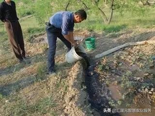 五花八门的冲施肥，你挑对了没有？3步让你不花冤枉钱