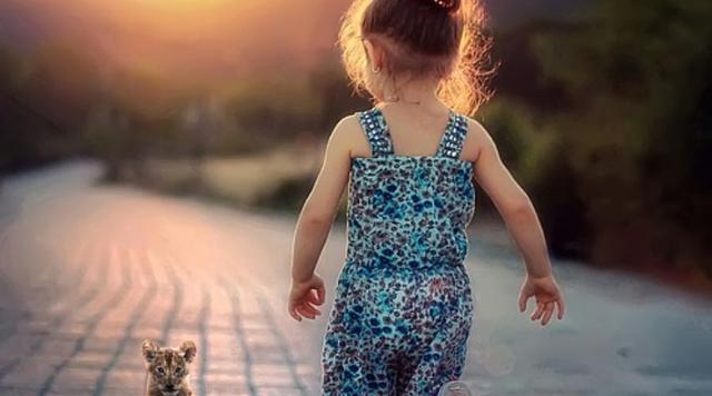 鑲插効鐧剧锝滃瀛愭€庝箞鏍锋墠鑳介暱楂? onerror=