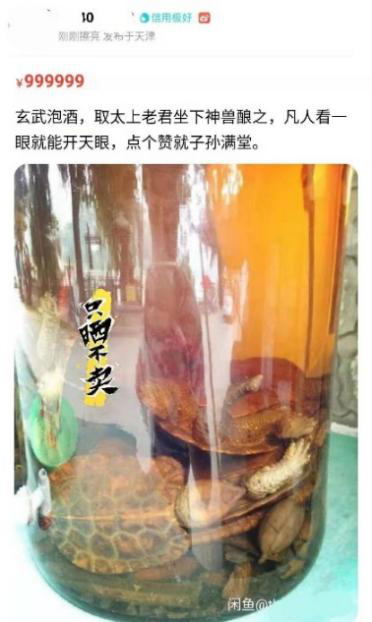 闲鱼让次元破壁，不睹不快的神仙打架系列
