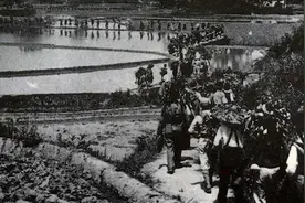 历史上的今天丨1937年10月12日，新四军正式组建视频封面