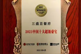 三盛集团百督府入围2021十大超级豪宅排行榜图片