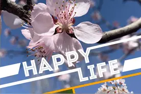 倒计时2天！京城三大“花事”接踵而至，这里最不容错过！图片