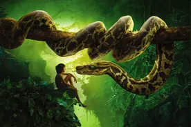 被大蟒蛇盯上该如何自救？为啥要戳它的泄殖腔？图片