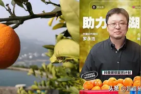 伦晚，除了像它的名字一样，来的特别晚之外，就是维C感爆棚图片