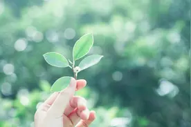 孔子评说“中庸之道”：感叹能做到的人太少了图片