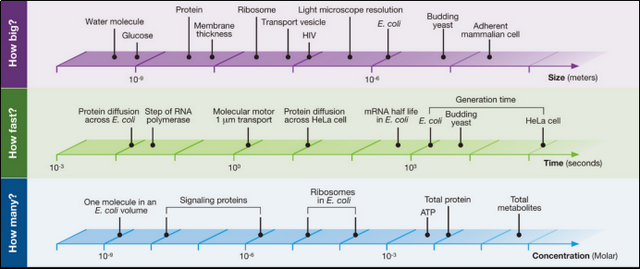 生物学中一组超有趣的数字，看看它们的意义吧~