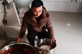 小黑豆串起绿色产业链图片