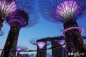 7万中国人，揭开新加坡的“黑暗世界”图片