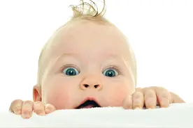 分享40首0~3岁宝宝早教三字儿歌图片