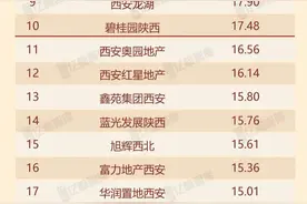 龙记、高科携手迈进西安1-4月销售业绩排名TOP10图片