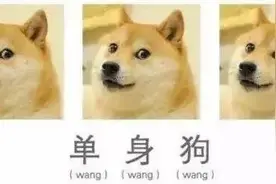 为什么人类365天都在发情？图片
