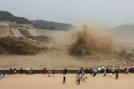 黄河泄洪下游鲤鱼泛滥，一网捞十几条，网友：假的黄河鲤图片