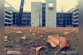 我的美好生活图片