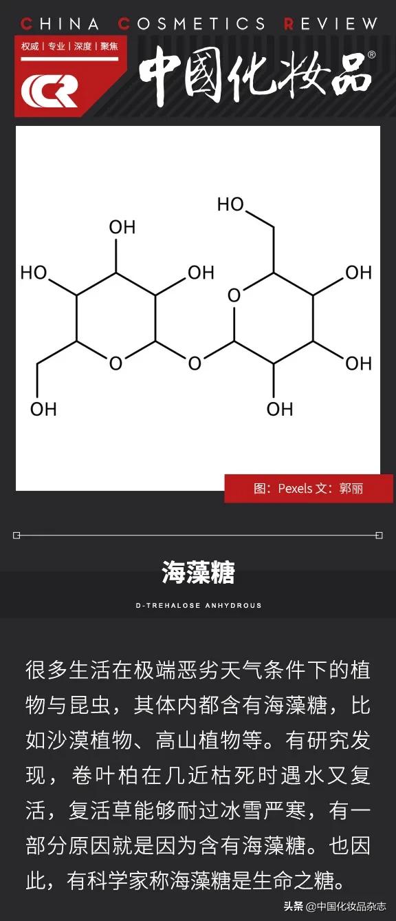 成分解析 | 能让皮肤"复活"的生命之糖——海藻糖