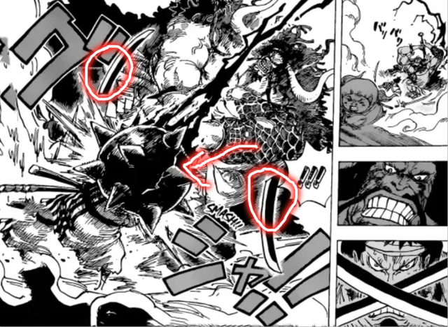 ������1014���������ű����സ����ע�⿴���������Ѿ��������ѷ�