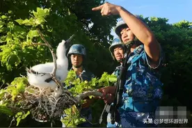 我国唯一有野牛群的海岛，平均海拔4米，物种超级丰富图片