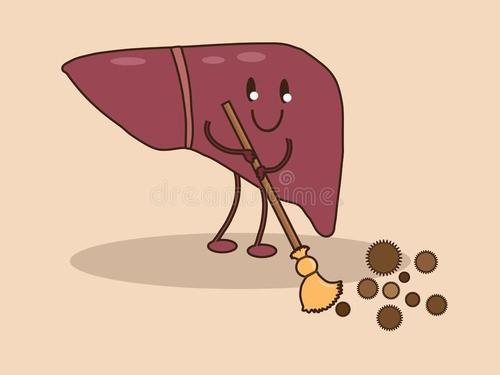 小分子肽对肝脏有害吗 2024年最新小分子肽对肝脏有害吗