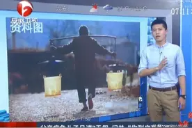 儿子问父亲“你到底死不死？我只请了七天丧假”，白岩松道出真相图片