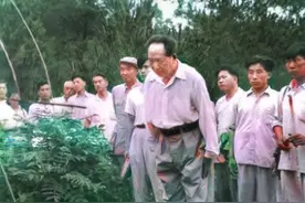 得知母亲逝前喊石三伢子，毛主席嚎啕大哭，40年后带走母亲照片图片
