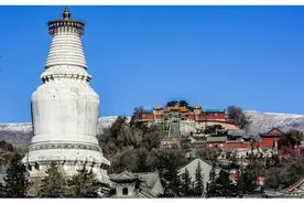五台山的尼姑一年比一年多，大多年轻貌美，这些女孩为啥当尼姑？图片