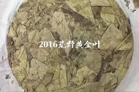 2016荒野黄金叶，冰糖清泉甜润，让你如置身山涧竹林中图片