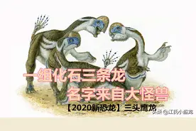 以神话怪兽命名的恐龙，因为化石里有三个脑袋图片