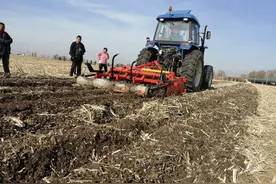 宽城区兰家镇繁忙的一天图片