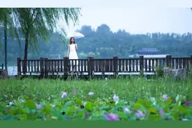 美醉了！这个被严重低估了的小湖藏着诗意的优雅！图片