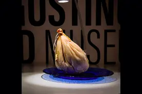 瑞典的“恶心食物博物馆”展品有80种，中国的好几款食物也被展出图片