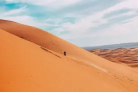 晚点独家丨腾讯放弃学龄前在线教育业务图片