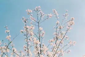 踏青，我们去无锡的拈花湾吧图片