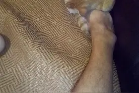 专业捧臭脚图片