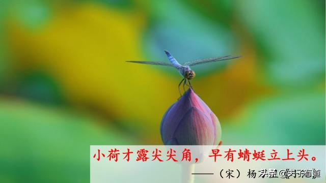 部编版一年级下册语文《春夏秋冬》知识点+图文讲解，给孩子预习