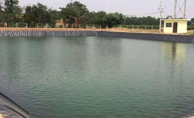 姘ㄥ熀閰歌偉姘磋啅鍘熸潵鏈夎繖浜涗綔鐢? onerror=