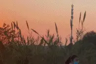 搞笑合集：小人国里厨房的日常，这也太可爱了吧图片