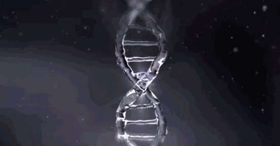 胶原蛋白哪个牌子的好 效果最好 2026年胶原蛋白那个牌子好