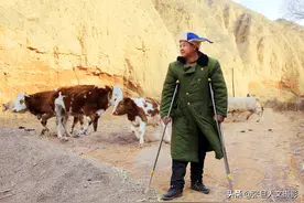 42岁残疾人 钻在山沟里与20头牛为伴 过着意想不到的生活图片