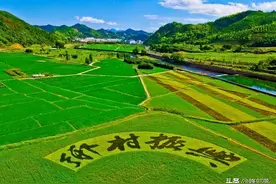​在农村这10个项目适合农民干，发展前景好，看看你适合哪个？图片