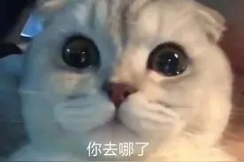 搞笑GIF开心一刻：你去哪了？我好想你图片