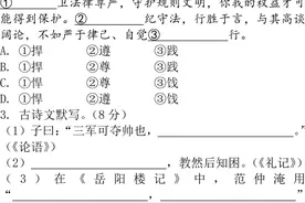 2020河南普通高中招生考试语文试卷及答案（中考真题）图片