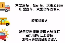 @所有驾驶员，手机“交管12123”， 审验业务“网上办”手把手教你如何操作！图片