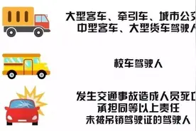 @所有驾驶员，手机“交管12123”， 审验业务“网上办”手把手教你如何操作！图片